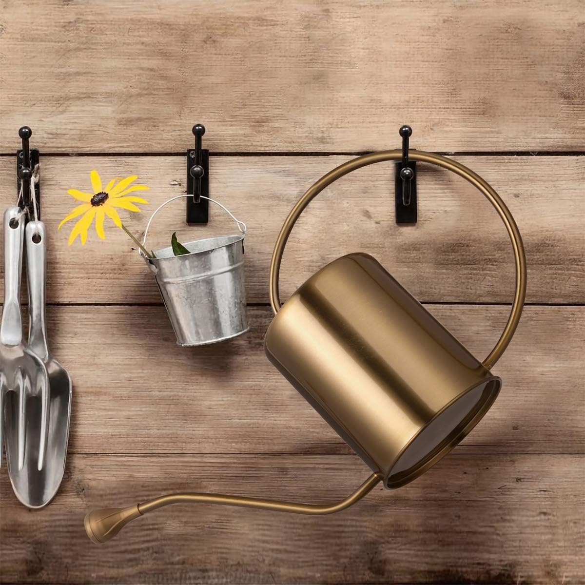 1/2 Gallon 68oz Long Spout Stainless Steel Gold Colored Watering Can for Indoor Plant Watering or Outdoor Gardening with 2 Removable Spray Spout for Flowers, Medium
