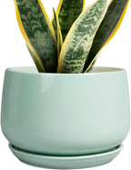 G EPGardening Ceramic Plant Pots - 7 Inch Planter for Indoor Outdoor Plants, Ceramic Planter with Drainage and Saucer, Round Modern Flower Pots, House Decor, Gift for Men Women, Green