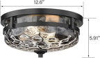 Casia Flush Mount Ceiling Lights, 2-Light Farmhouse Close to Ceiling Light, Hammered Glass Ceiling Light, Industrial Ceiling Lighting Fixture for Kitchen Hallway Living Room Stairwell (Black)