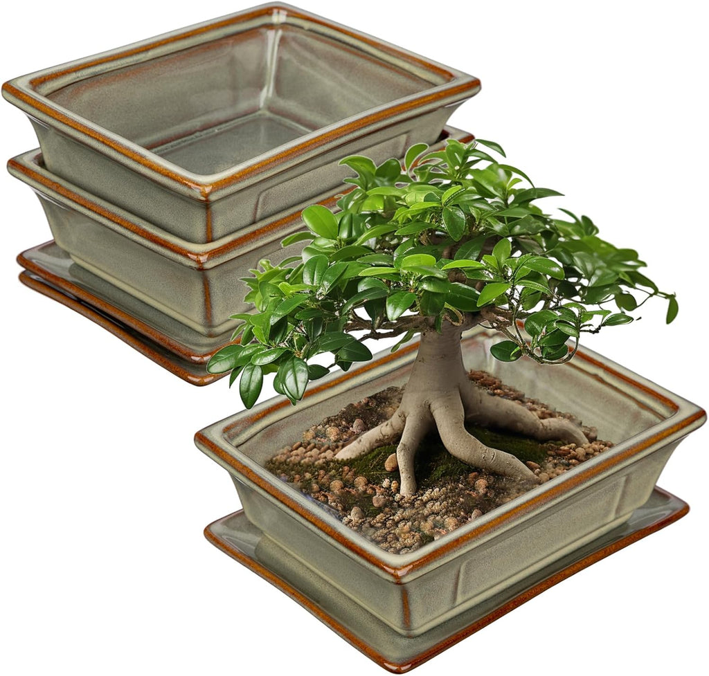 Ceramic Bonsai Pots with Drainage Tray, Set of 2 Rectangular Glazed Bonsai Planters for Indoor/Outdoor Use, Shallow Brown Bonzai Tree Pots for Succulent, Orchids, Cacti, Home, Patio, Garden, 7.5"x5.5"