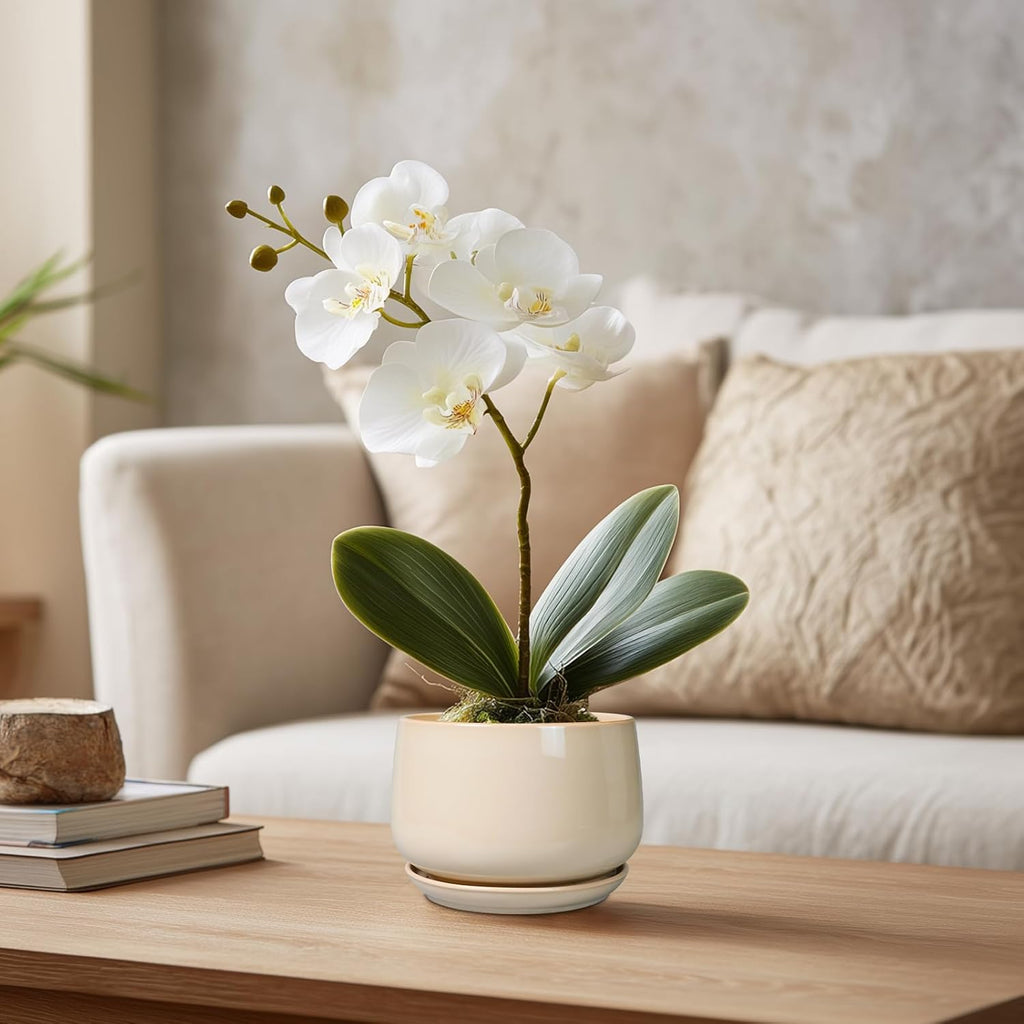 G EPGardening 4 inch Plant Pots - Ceramic Planter with Drainage Hole & Saucer, Small Plant Pots for Indoor Outdoor, Round Succulent Pot, Modern Decorative Flower Pot, Desk Decor, Garden Gifts, Beige