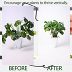 5PCS Black Monstera Plant Stem Support 9x7.6in - Adjustable & Durable Indoor Plant Stake for Cactus and Climbing Plants - Ideal Leaf Support for Gardening & Home Decor