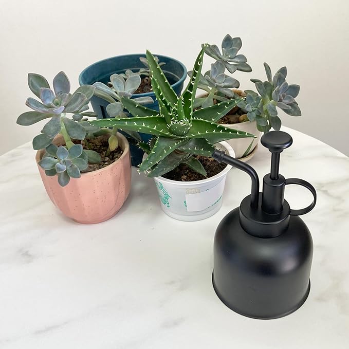 Stainless Steel Plant Sprayer, Small Watering Can, Modern Gardening Tool for Indoor Potted Plants