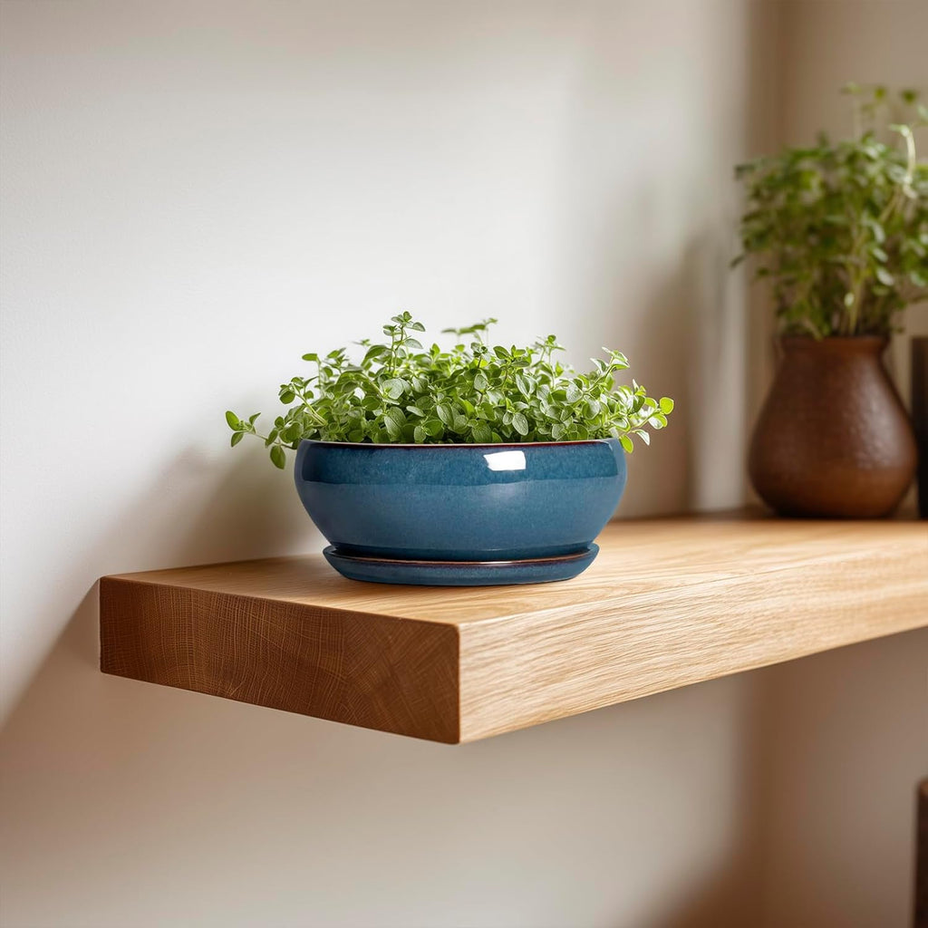 SQOWL Succulent Pots - 6 Inch Ceramic Bonsai Pots, Shallow Planter with Drainage Hole and Saucer, Modern Round Planter for Indoor Plants Outdoor, Flower Cactus Pot, Home Decor, Plant Lover Gift, Blue