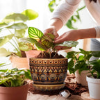 G EPGardening Ceramic Pot for Plants 5.5 Inch - Ceramic Plant Pot with Drainage Hole and Saucer, Boho Round Planter for Indoor Outdoor Plants, Plant Lover Gifts, Office Garden House Decor, Brown