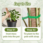 2 Pack Moss Pole, 28 Inch Monstera Plant Support, Moss Poles for Climbing Indoor Plants, Handmade Coco Coir Plant Support Stakes for Potted Plants, Pothos, Philodendron