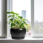 SQOWL Ceramic Flower Pot - 10 Inch Planter with Drainage Hole and Saucer, Modern Large Plant Pot Indoor Outdoor, Decorative Round Planter, Bedroom Decor, Gifts for Plant Lovers, Black