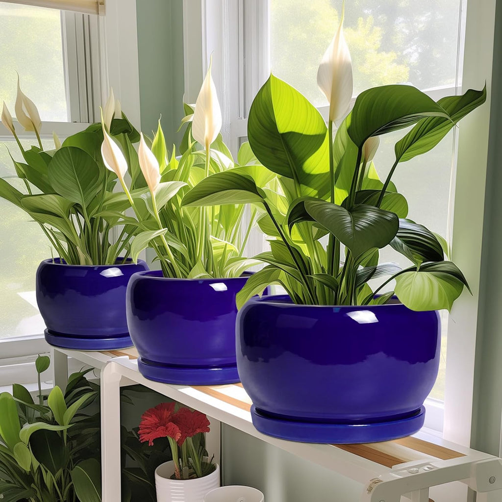 SQOWL 8 Inch Plant Pot - Ceramic Planter for Indoor Plants Outdoor, Ceramic Flower Pot with Drainage Hole and Saucer, Modern Round Planter, Bathroom Decor, Gifts for Plant Lovers, Blue