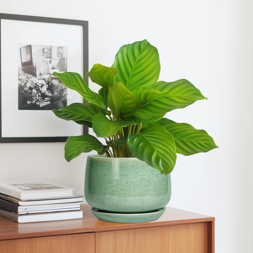 G EPGardening Ceramic Plant Pot - 7 Inch Ceramic Planter for Indoor Outdoor Plants, Flower Pot with Drainage Hole and Tray, Modern Round Planter, Plants Lovers Gifts, Home Garden Decor, Green