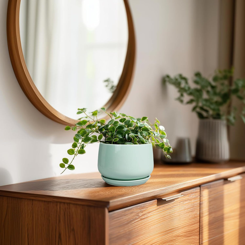 G EPGardening Ceramic Plants Pots - 4 inch Plant Pots Indoor Outdoor, Small Succulent Planter with Drainage Hole & Tray, Modern Flower Pot, Round Decorative Planters, Office Decor, Garden Gift, Green