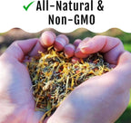 Herb Supplement for Backyard Chickens - Natural Chicken Treats, Poultry Feed Botanical Mix, Plant-Based Coop Snacks for Daily Wellness, Feather Quality, Egg Production, USA (20 LB)