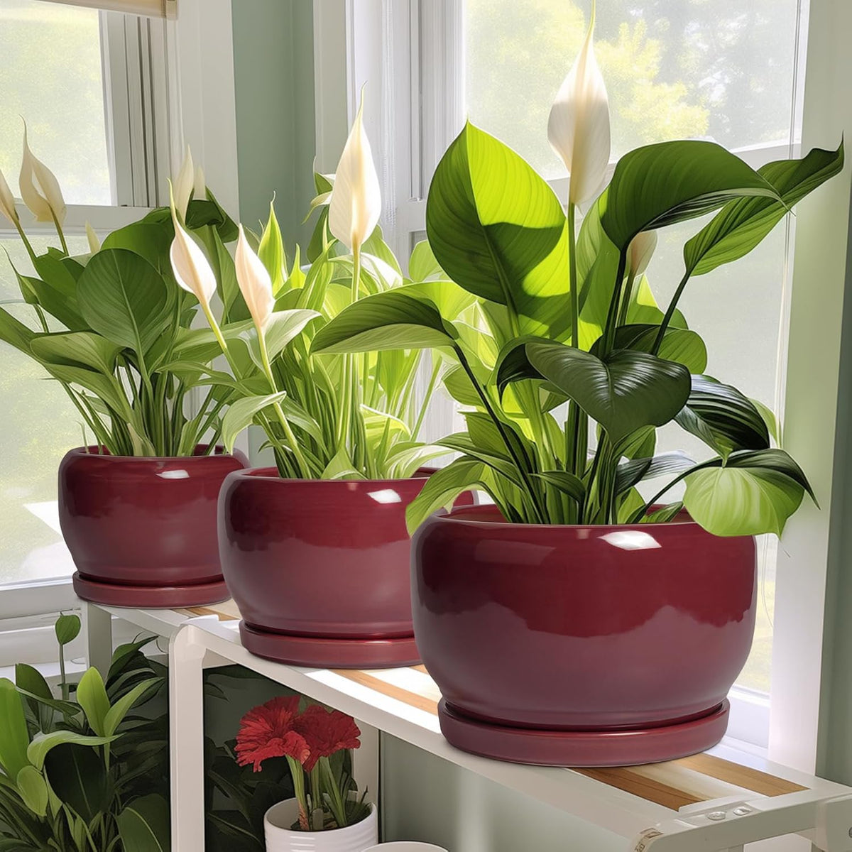 SQOWL 6 Inch Plant Pot - Ceramic Planter for Indoor Plants Outdoor, Round Planter with Drainage Hole and Saucer, Decorative Modern Small Flower Pots, Room Decor, Gifts for Plant Lovers, Red