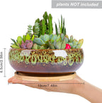 ARTKETTY Succulent Pots - 7.5 Inch Large Plant Pot with Bamboo Tray, Shallow Bonsai Pots with Drainage, Ceramic Planter for Indoor Plants, Cactus, Home Office Desk Decor