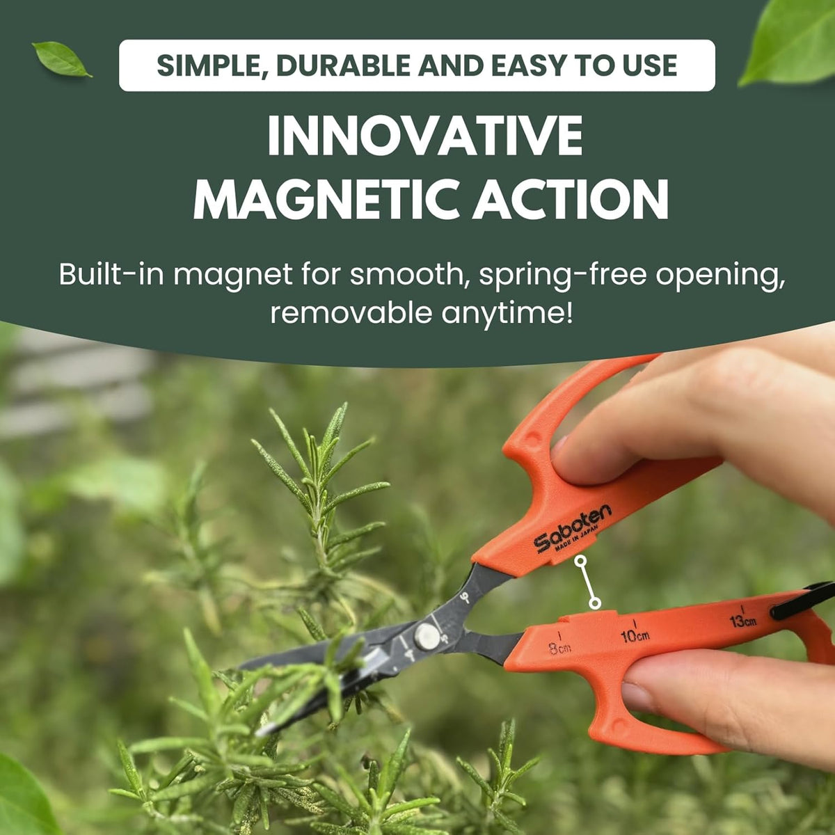 Saboten Japan 6.3" Automatic Japanese Harvesting Shears - Fine-Tipped Angled Blade, Magnetic Springless Action, Stainless Steel with Fluorine Coating, Ergonomic Grip - forest Originals, Made in Japan