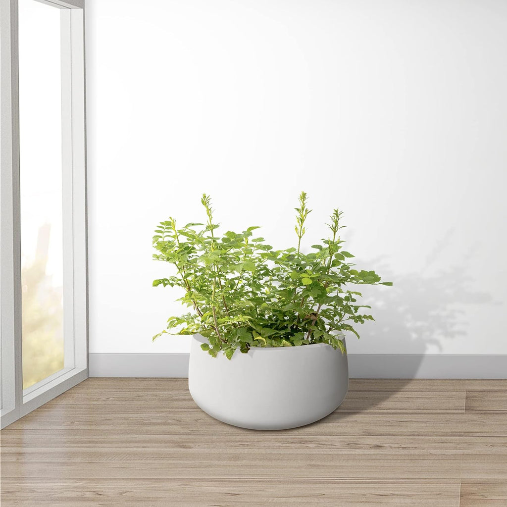 Kante 19.6" Dia Round Concrete Planter, Outdoor Indoor Garden Plant Pots with Drainage Hole and Rubber Plug, Modern Curvaceous Design, Pure White