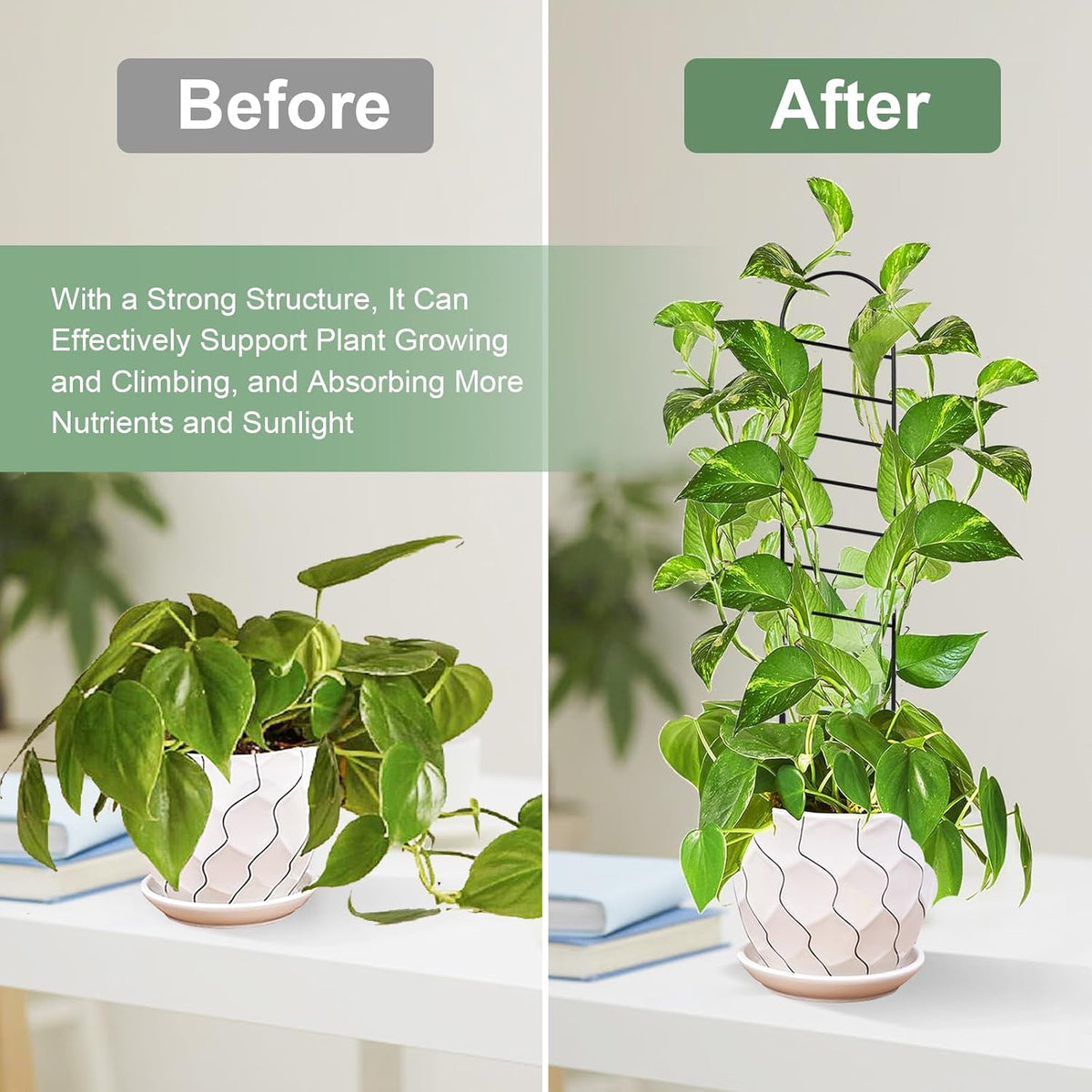 17.5 Inch Indoor Plant Trellis for Climbing Plants, Small Metal Garden Trellis for Potted Plants,Plants Accessories Hoya,Flower,Plant Support (Ladder-Metal)