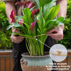 5PCS 11 * 9.4 Inch Monstera Plant Support Stem - Premium Adjustable Leaf Holder & Fishbone Cactus Stake, Durable Gardening Tool for Climbing Plants, Easy Installation & Enhanced Stability