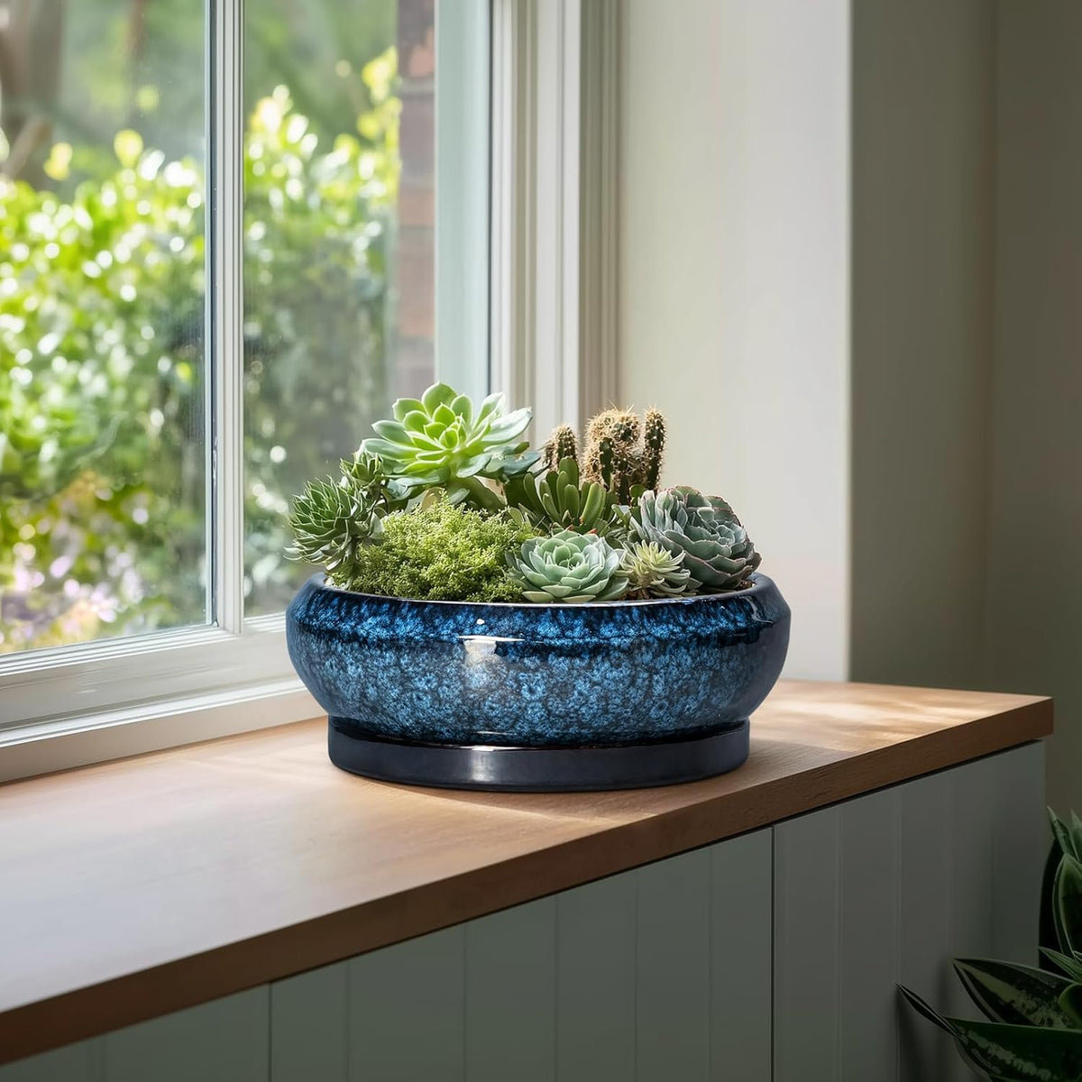 Bonsai Pots - 13 Inch Ceramic Succulent Pots for Indoor Outdoor, Large Succulent Planter with Drainage Hole and Saucer, Round Shallow Flower Planters, Porch Decor, Gardening Gifts, Blue