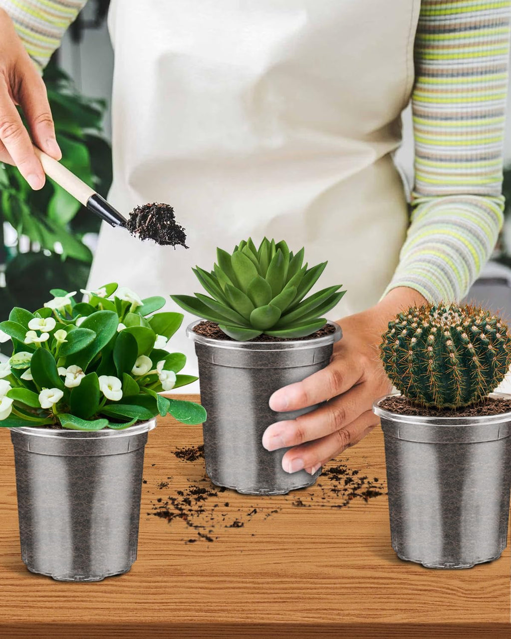 PACETAP 60Pack 3.5 Inch Reinforced Clear Nursery Pots with Drainage Holes, Variety Pack Plastic Plant Pots with 20 Plant Labels for Indoor Outdoor Flower Seed Starter