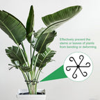 HARFINGTON 8pcs Plant Stem Support 4 Sizes Climbing Houseplant Stem Holder Stakes Reusable Flower Trellis Plant Stand for Outdoor Indoor, Black