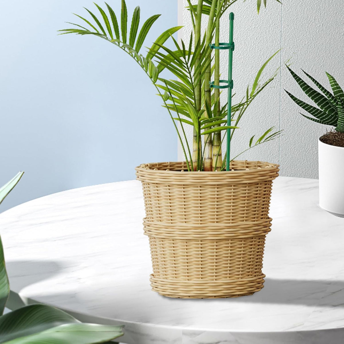 20-Piece Set of Adjustable Plant Stakes with Clips and Connecting Pipes for Orchids Roses Tomatoes and Other Single-Stem Flowers Measuring 11.8 Inches