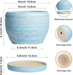 SQOWL Ceramic Planters for Indoor Plants - 6 Inch Plant Pot Indoor Outdoor, Decorative Flower Pot with Drainage Hole and Saucer, Round Succulent Planter, Home Apartment Decor, Garden Gifts, Blue