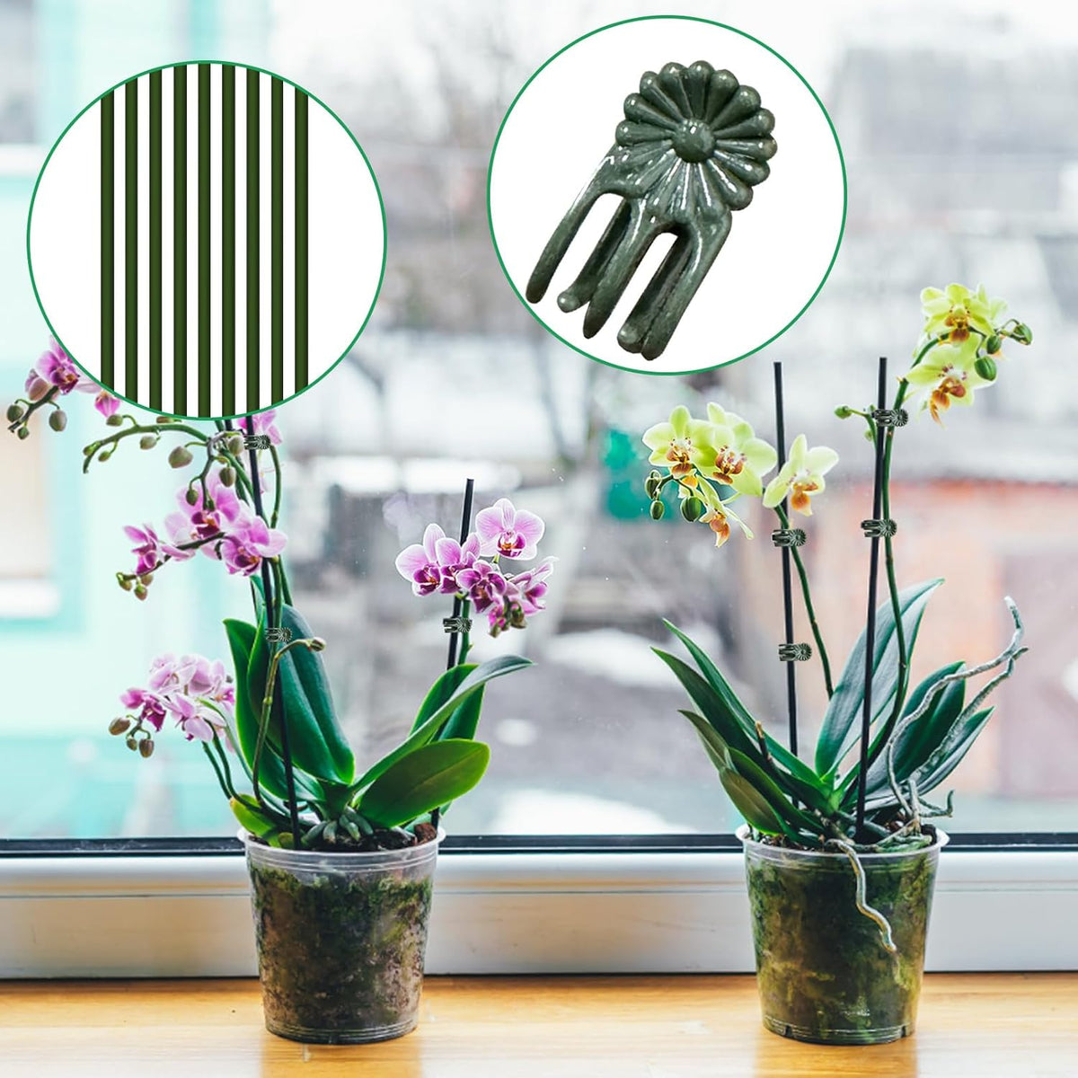50Pcs Plant Stake Clip Set Green, Plant Sticks Supplies Support Tall, Useful Support Clips, Fine Workmanship Allow Bending Suitable for Various Plant Pots Indoors and Outdoors