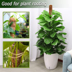 2 Pack Moss Pole, 28 Inch Bendable Moss Pole for Plants Monstera, Moss Poles for Climbing Plants Indoor, Coir Plant Pole Sticks Support Stakes for Potted Plant, Pothos, Philodendron