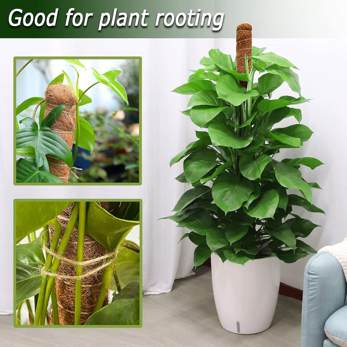 2 Pack Moss Pole, 28 Inch Bendable Moss Pole for Plants Monstera, Moss Poles for Climbing Plants Indoor, Coir Plant Pole Sticks Support Stakes for Potted Plant, Pothos, Philodendron