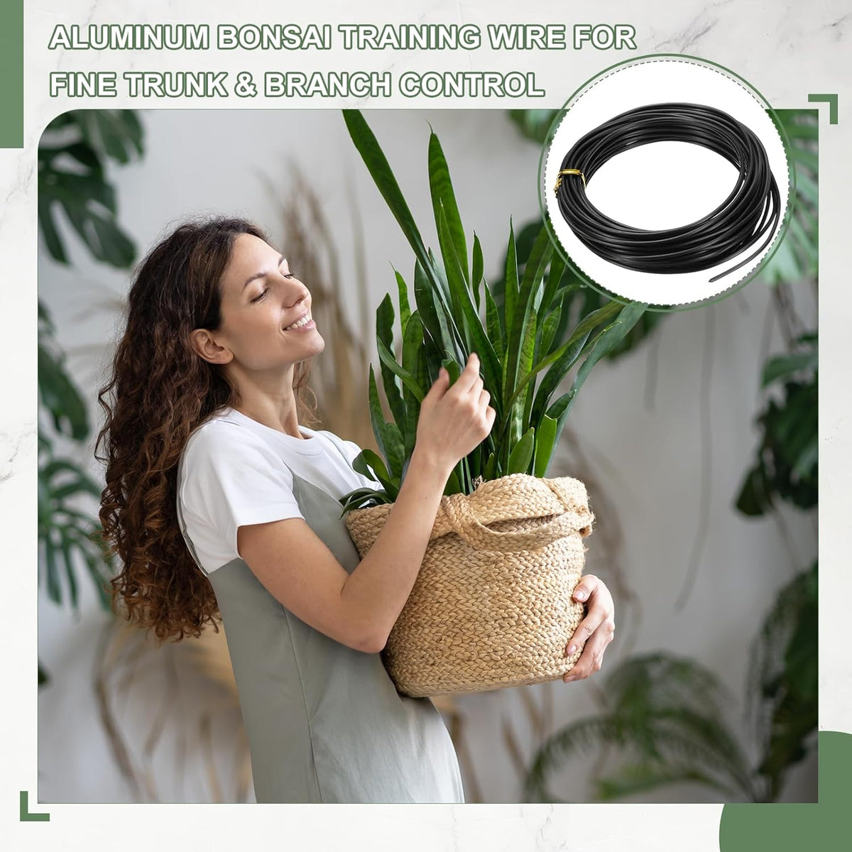 Bonsai Training Wire, 2mm x 32.8 ft Anodized Aluminum Floral Plant Training Wire Bendable Metal Stems Accessories for Gardening Branch Fixing Crafts (Black)