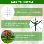 6 Packs Tomato Cages for Garden, 12"×12"×39" Plant Support Cage with Different Spacing, Green Metal Trellis for Climbing Plants Like Cucumber, Flowers