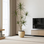 Artificial Dracaena marginata,6ft Tall Fake Plants Artificial Dracaena marginata Plants for Indoor, Fake Trees for Office Home Living Room Floor Patio Greening Porch Decor