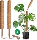 Moss Pole, 2Pack 21 Inch Plant Support Stakes for Indoor Plants, Monstera Plant Support Stakes, 37 Inch Tall Coir Plant Pole Sticks for Potted Plants, Pothos, Philodendron