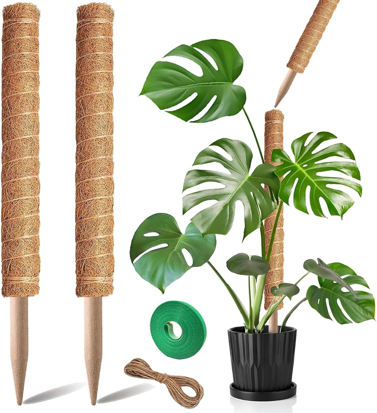 Moss Pole, 2Pack 21 Inch Plant Support Stakes for Indoor Plants, Monstera Plant Support Stakes, 37 Inch Tall Coir Plant Pole Sticks for Potted Plants, Pothos, Philodendron