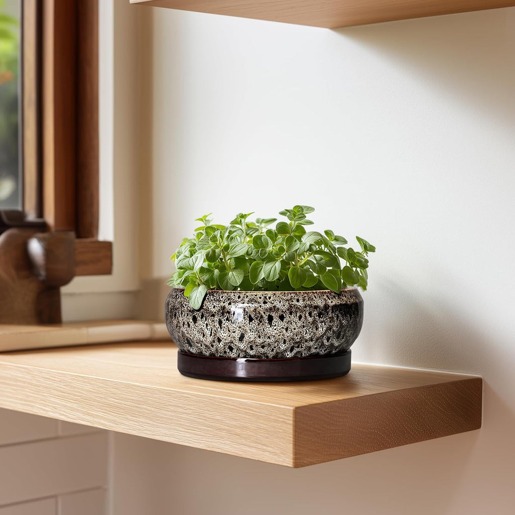 Succulent Planter 6 Inch - Ceramic Bonsai Pots with Drainage Hole and Tray, Shallow Plant Pot Indoor Outdoor, Cactus Succulent Pot, Round Bonsai Planter, Home Decor, Plant Lover Gift, White