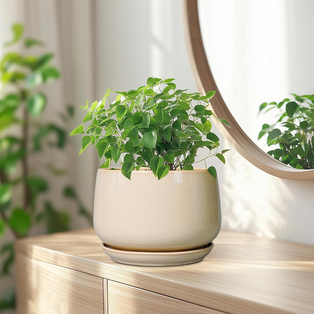 G EPGardening Ceramic Planter - 7 Inch Plant Pots with Drainage and Ceramic Tray, Flower Pots for Indoor Plants, Round Outdoor Planter, Room Decor, Gifts for Plant Lovers, Beige