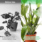 6pcs Climbing Houseplant Stem Supports,Plant stem Support Indoor Outdoor Use,Stem Hook Growth Accessories for Plant Garden, Promotes Upright Growth and Airflow(Black)
