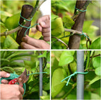 YDSL 66 Feet Soft Plant Tie, Green Twist Garden Ties for Plants, Office Organization and Home(Diameter - 2.5MM)