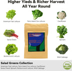 Salad Greens Seed Pod Kit for AeroGarden Hydroponics Growing System, Indoor Home Garden with American Fast/Paris Island/Buttercrunch Lettuce, Swiss Chard, Spinach, Cauliflower and Wild Cabbage, 7 Pods