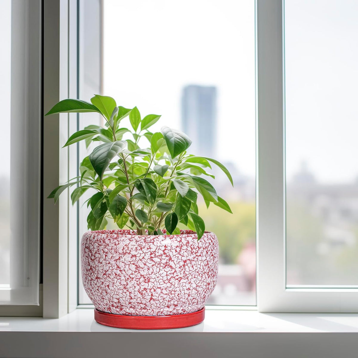 SQOWL Ceramic Planters for Indoor Plants - 10 Inch Flower Pots with Drainage Hole and Saucer, Decorative Ceramic Plant Pots, Round Large Planter Outdoor, Room Decor, Housewarming Gifts, Red and White