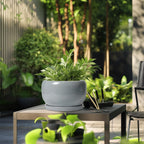 SQOWL 10 Inch Plant Pot - Ceramic Planter for Indoor Plants, Round Ceramic Flower Pot with Drainage Hole and Saucer, Modern Large Outdoor Planter, Room Decor, Housewarming Gifts, Gray