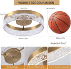 Jaycomey Modern LED Ceiling Light Fixture, 11.65" Flush Mount Kitchen Lighting Gold with Clear Seeded Acrylic Lampshade,Round Ceiling Lamp Lights for Hallway Dining Room