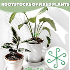 Monstera Plant Support, 16Pcs Plant Stem Support for Indoor Plants - Heavy Sturdy Climbing Plant Stakes for Potted Vines, Monstera, Flowers Green
