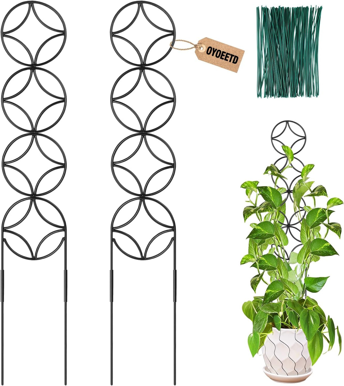 24Inch Outdoor Plant Trellis for Climbing Plants,Metal Garden Trellis for Potted Plants,Plant Stakes for Indoor Plants Accessories Hoya,Flower,Plant Support,Plant Gifts (24IN-Coin)