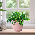 LB Pink Ceramic Plant Pots for Indoor Plants, Succulent Planters Ceramic Plant Pot, Cute Flower Pots for Living Room Office Home Decor, Round Flower Pot of 4.3 Inch(Plant Not Included)