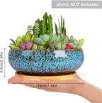 ARTKETTY Succulent Pots - 7.5 Inch Large Plant Pot with Bamboo Tray, Shallow Bonsai Pots with Drainage, Ceramic Planter for Indoor Plants, Cactus, Home Office Desk Decor