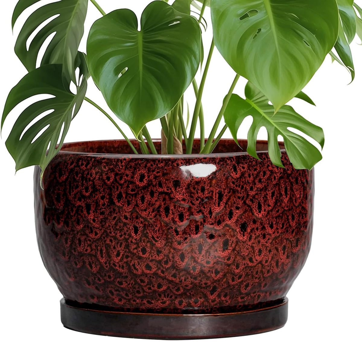 SQOWL Ceramic Flower Pots - 10 Inch Plant Pot Indoor, Ceramic Planter with Drainage Hole and Saucer, Round Decorative Large Planter Outdoor, Home Decor Living Room, Gifts for Plant Lovers, Red