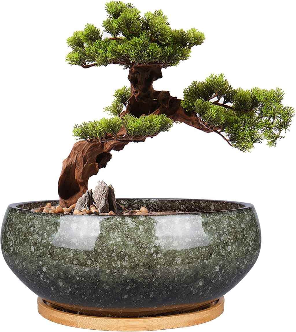 8 Inch Ceramic Bonsai Planter Pot, Glazed Shallow Succulent Planter with Drainage Hole and Bamboo Saucer for Indoor Plants, Brown
