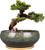 8 Inch Ceramic Bonsai Planter Pot, Glazed Shallow Succulent Planter with Drainage Hole and Bamboo Saucer for Indoor Plants, Brown
