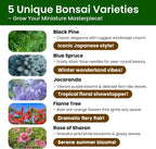 5 Pack Bonsai Tree Kit - Unique Gardening Gift Set for Plant Lovers | Complete Japanese Bonsai Starter Kit with Seeds, Tools & Planters | Ideal Christmas, Birthday Gifts for Women & Men